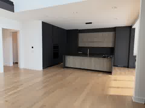 Modern dark kitchen with charcoal and gray oak cabinetry, light hardwood floors, Burr Ridge